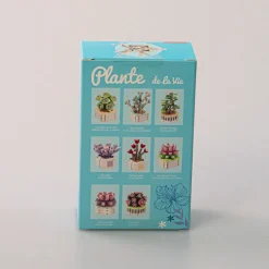 Online Costruzione - Pianta Grassa Toys