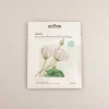 Best Premium Botanica Facial Mask - Purifying Skin Care