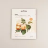 Outlet Premium Botanica Facial Mask - Plumping Skin Care